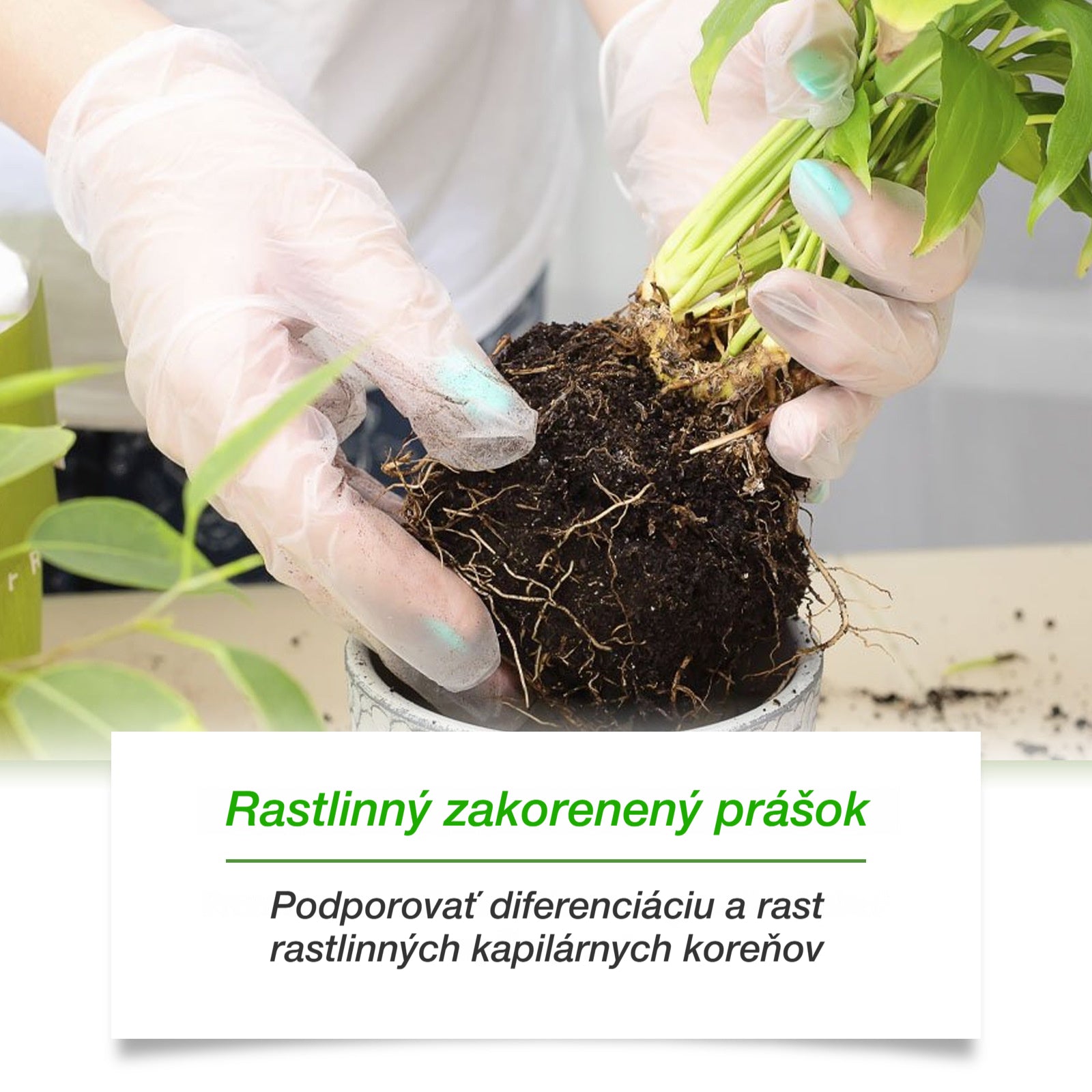 🌱🌳Aktivátor živín do pôdy pre rastliny, podporuje rast koreňov a vývoj sadeníc rastlín a kvetov