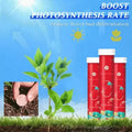 🔥【3 бр.】🌱🌺таблетки/гранули за универсален тор с бавно освобождаване за бонсай растения