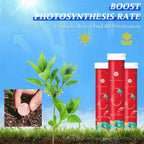 🔥【3 бр.】🌱🌺таблетки/гранули за универсален тор с бавно освобождаване за бонсай растения