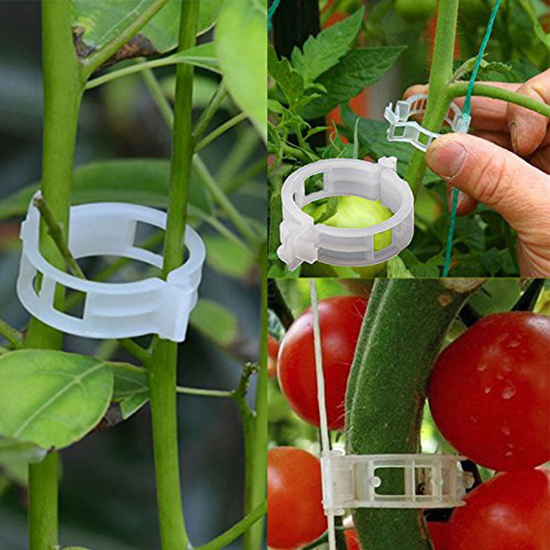 🍅Плащане при доставка【200 броя】Фиксираща щипка за растеж на разсад