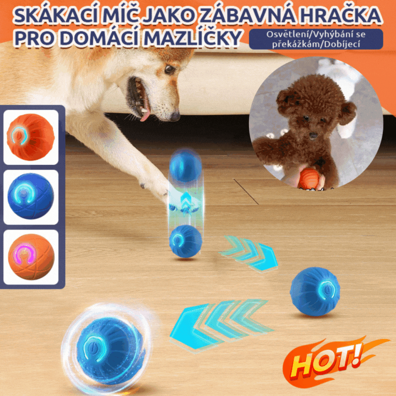 🐶⚽😆Kupite 1, dobijte 1 gratis🔥Loptica za skakanje s efektom gravitacije za kućne ljubimce, pametna slagalica za pse, automatska loptica za šetanje pasa, zabavna i zanimljiva igračka za pse.