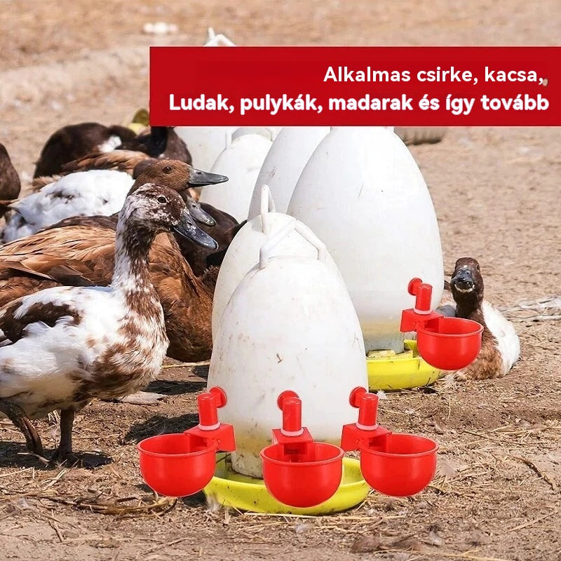 【10 darabos】 Automatikus baromfi itató, nincs szükség kézi etetésre