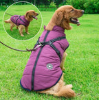 🐕‍🦺【50% отстъпка】Есенни и зимни ски дрехи за домашни любимци, водоустойчиво и топло памучно яке за кучета
