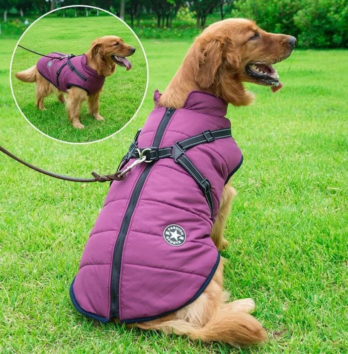 🐕‍🦺【50% отстъпка】Есенни и зимни ски дрехи за домашни любимци, водоустойчиво и топло памучно яке за кучета