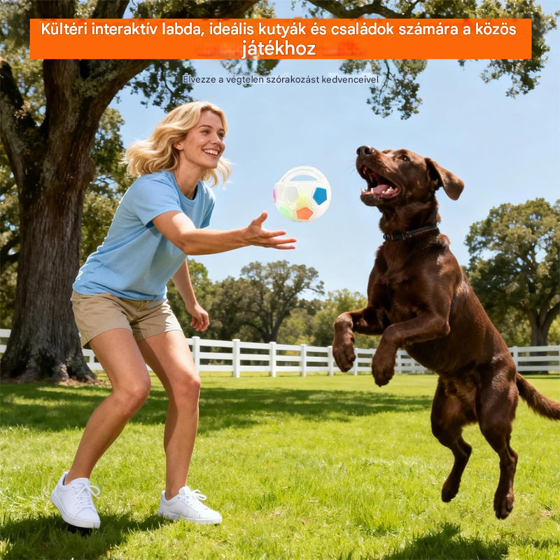 ⚽🐕🐾Vásárolj 1-et, kapsz 1-t ingyen🔥Kutyajáték - focilabda, interaktív és harapásálló kellékek border collie-knak, labradoroknak és corgi kutyáknak.