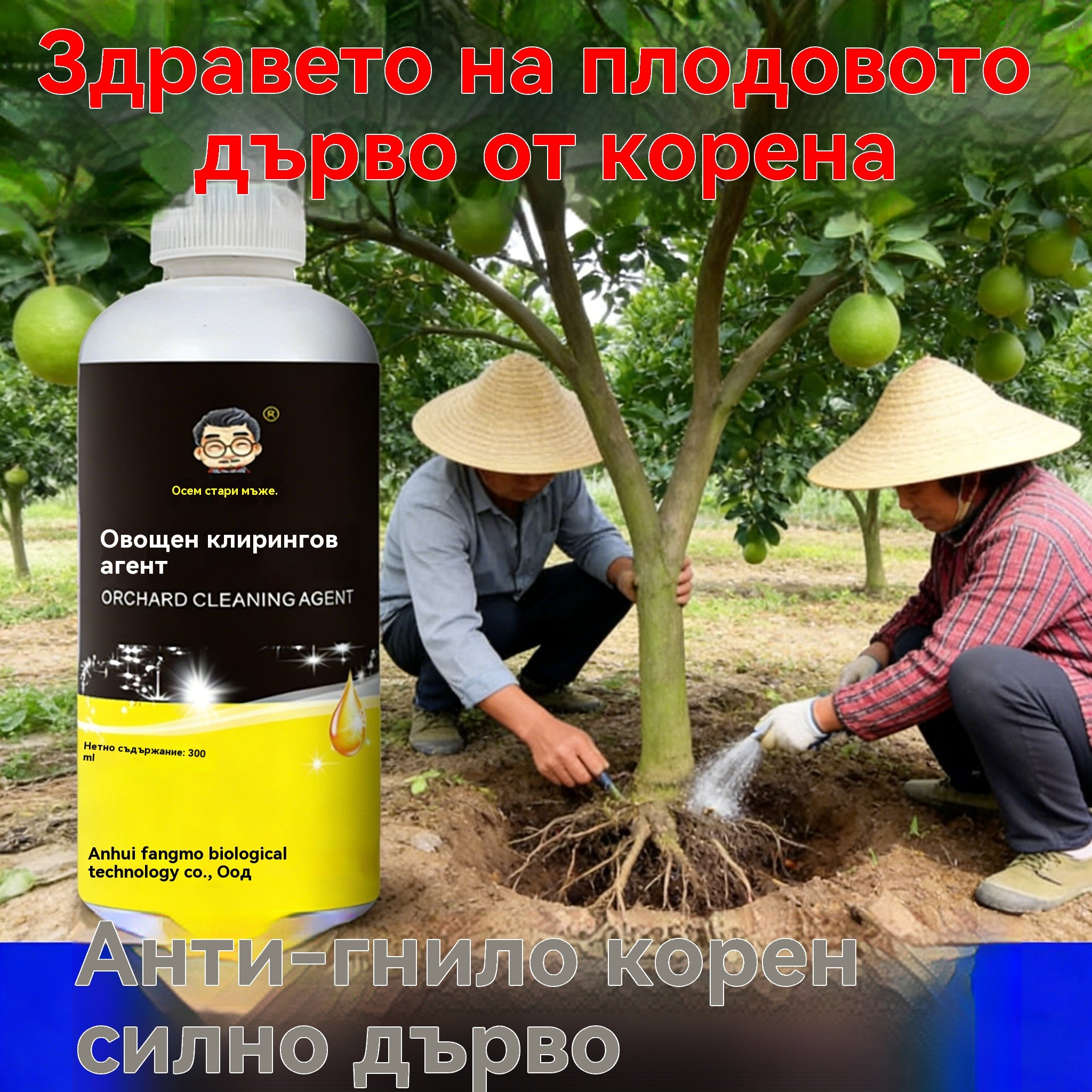 【Αγοράστε 1 και πάρτε 1 δωρεάν.】🍂【Καυτή Πώληση】✅✨Καθαριστικό κατάλληλο για οπωρώνες.