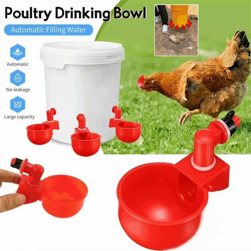🐔【10 piezas】Bol de agua automático para aves de corral, sin necesidad de alimentación manual
