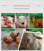 Four Seasons Birds ✅ Kokošja, pačja i guščja prehlada ✅ Hrkajući kašalj ✅ Antivirusno ✅ Kokošja groznica ✅ Općenito za svinje, goveda i ovce