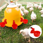 🔥🐔【10τεμ】Αυτόματο μπολ νερού για πουλερικά