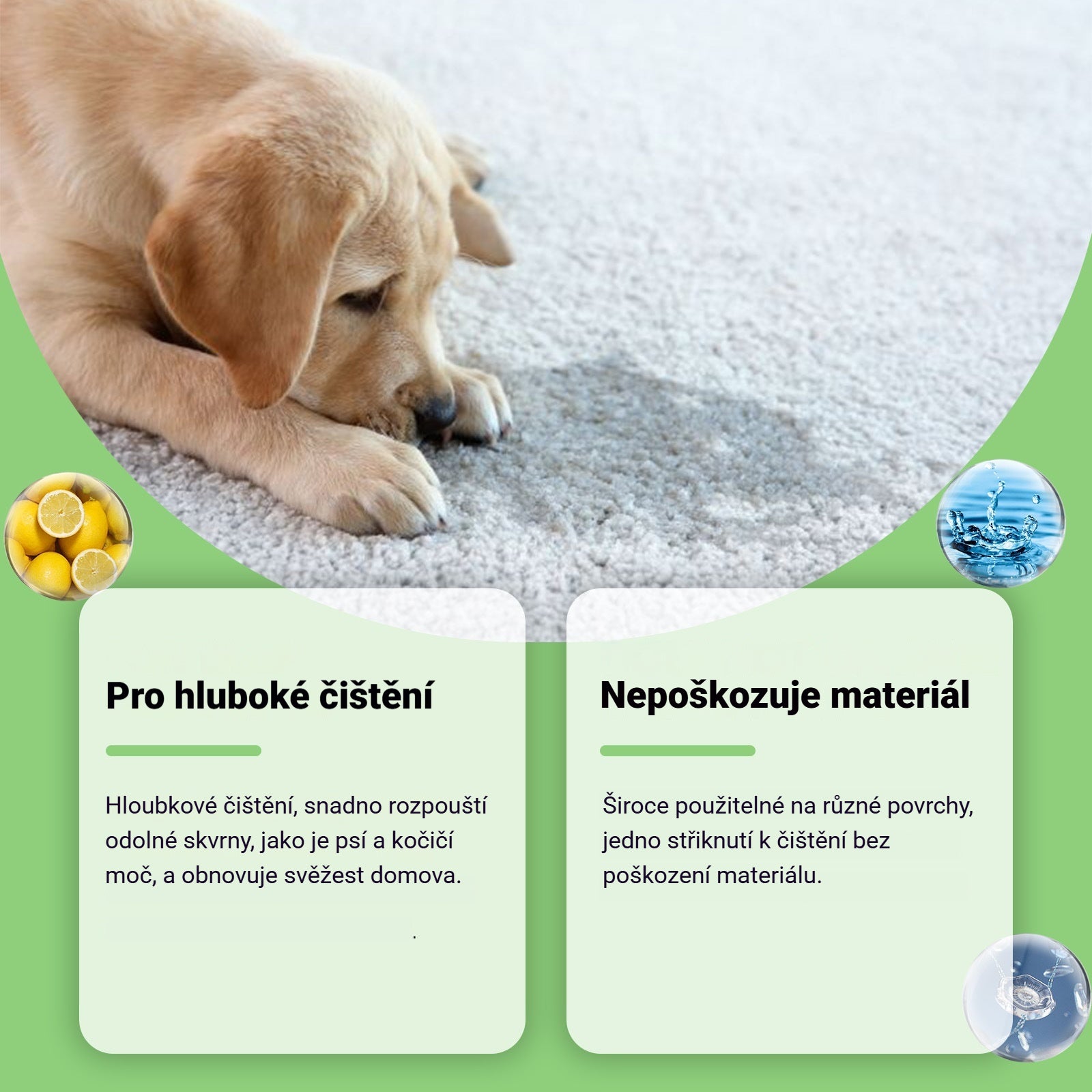 ✨【Nové zboží - sleva 50 %】🐶🐱 Odstraňovač skvrn pro domácí mazlíčky (kočky a psy)