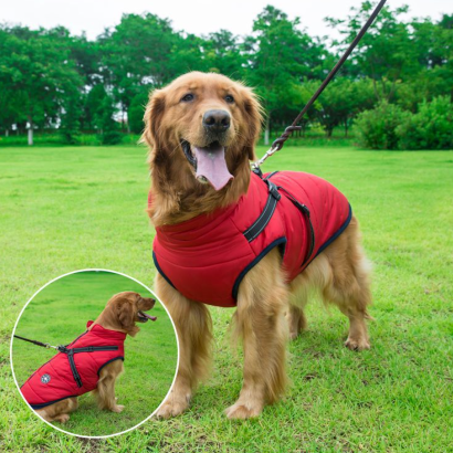🐕‍🦺【50% отстъпка】Есенни и зимни ски дрехи за домашни любимци, водоустойчиво и топло памучно яке за кучета