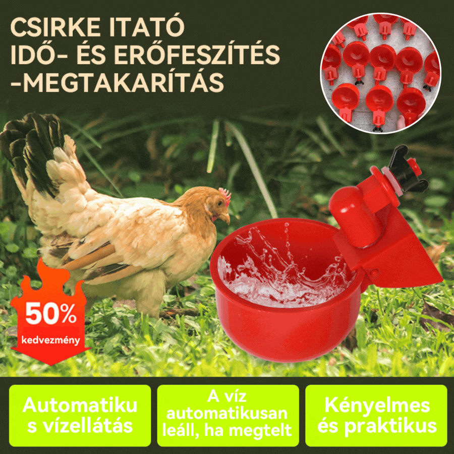 🔥🐔【10db】automatikus baromfiitatótál