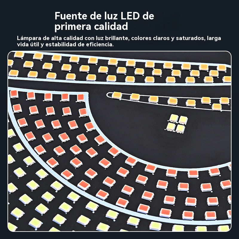💡🎫 Měkký, tenký a flexibilní LED displej do auta s možností vlastního nastavení.