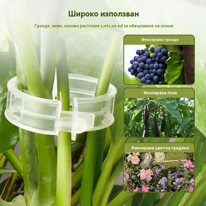 🍅Плащане при доставка【200 броя】Фиксираща щипка за растеж на разсад