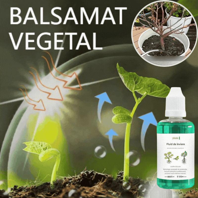 💥【Kúpte 1 a získajte 2 zadarmo】🌱🌱 Živný roztok, ktorý podporuje rast rastlín