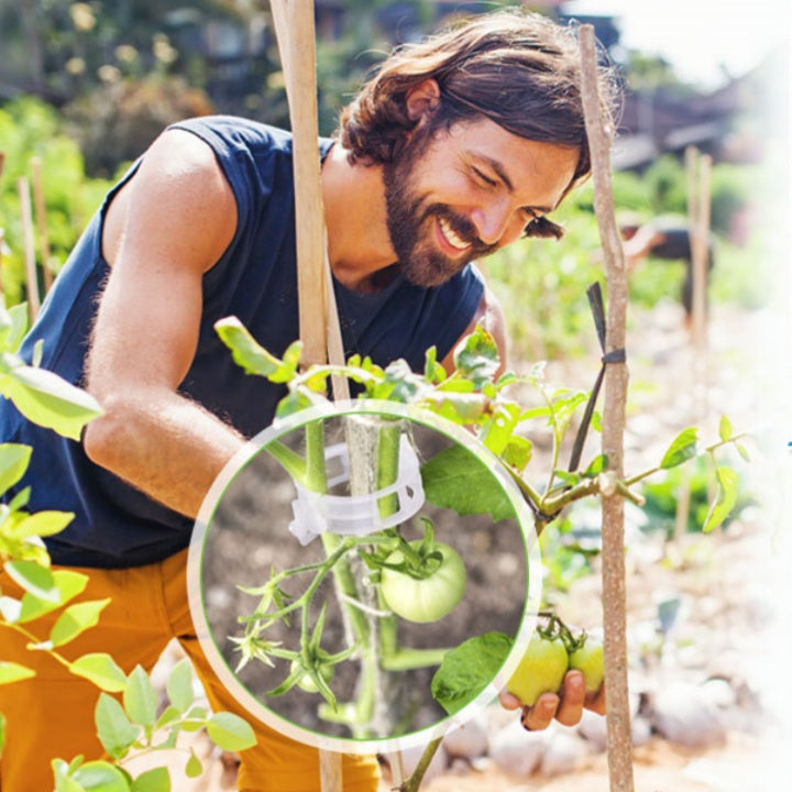 🍅🍅【200 τεμ.】🌱Κλιπ στερέωσης για την ανάπτυξη φυτών