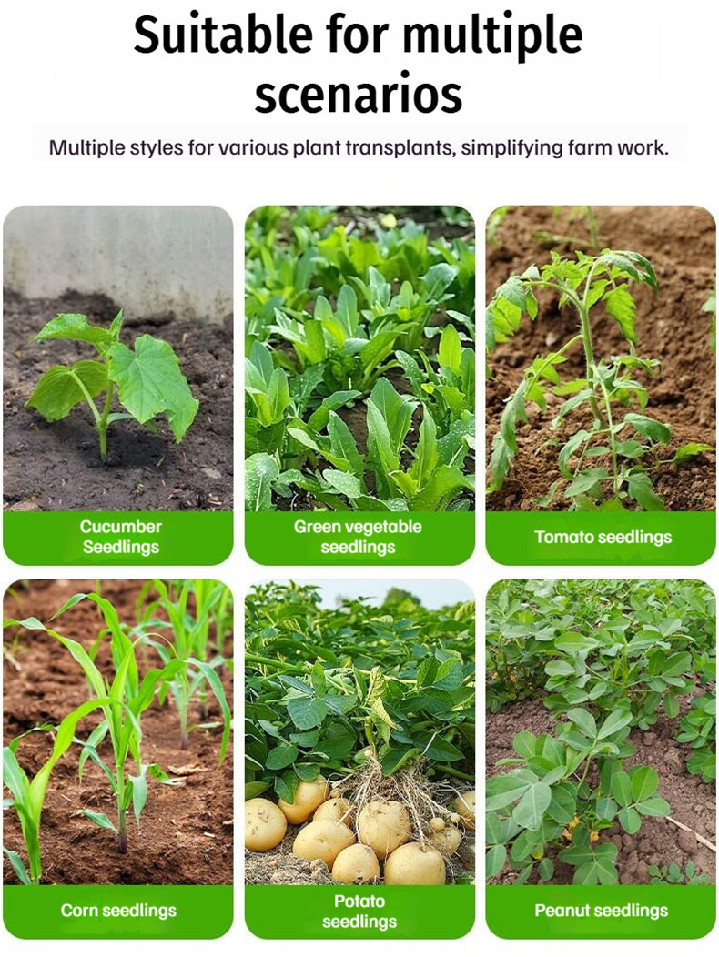 🌱【Čudo uštede vremena i truda】Brzo presađivanje bez saginjanja! Presađivač od nehrđajućeg čelika udvostručuje učinkovitost, što olakšava sadnju 💪✨