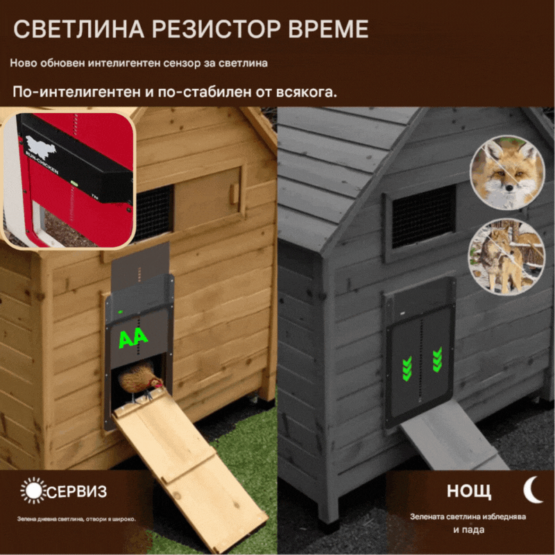 🏠Ограничена по време оферта! Автоматична врата за кокошарник със светлинен сензор.