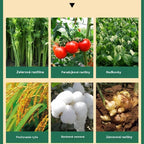 【5 vreciek 22 €】🌿🌿Vo vode rozpustné hnojivo bohaté na chlorofyl, vhodné na listovú hnojivu kvetov, ovocných stromov a zeleniny, podporuje rast koreňov, rast sadeníc a zvyšuje výnos. Vo vode rozpustné poľnohospodárske hnojivo.